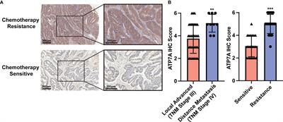 Effective Delivery of siRNA-Loaded Nanoparticles for Overcoming Oxaliplatin Resistance in Colorectal Cancer